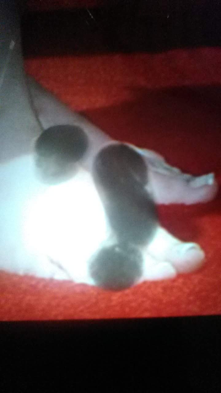 McZoZ2Gq Emma Watson Cum Tributes 40.jpg